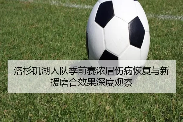 洛杉矶湖人队季前赛浓眉伤病恢复与新援磨合效果深度观察