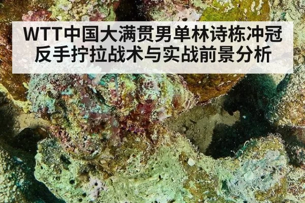 WTT中国大满贯男单林诗栋冲冠反手拧拉战术与实战前景分析